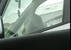 初めてバイブで犯され、その後のメンバーの ラブラブ エロ アニメ 動画